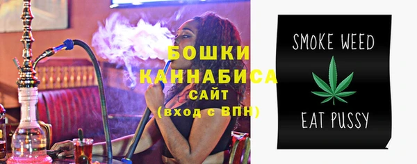 дживик Елабуга