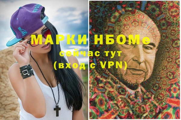 дживик Елабуга