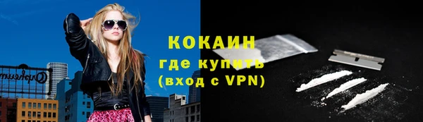 кокс Ельня