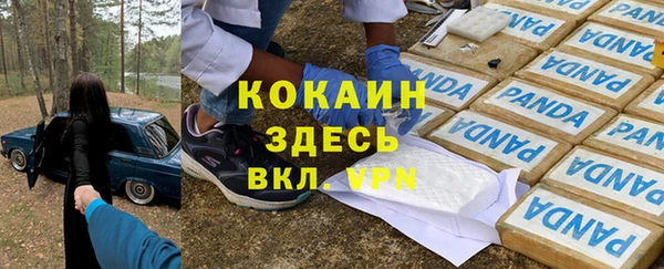 дживик Елабуга