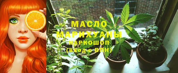 дживик Елабуга