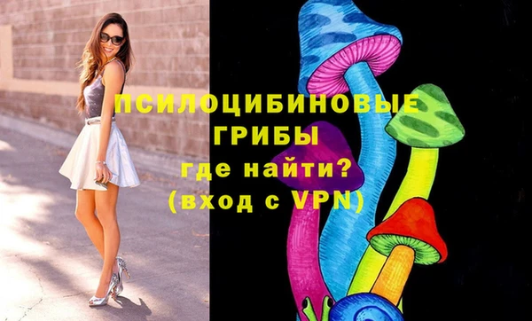 кокс Ельня