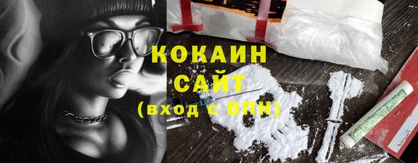 кокс Ельня