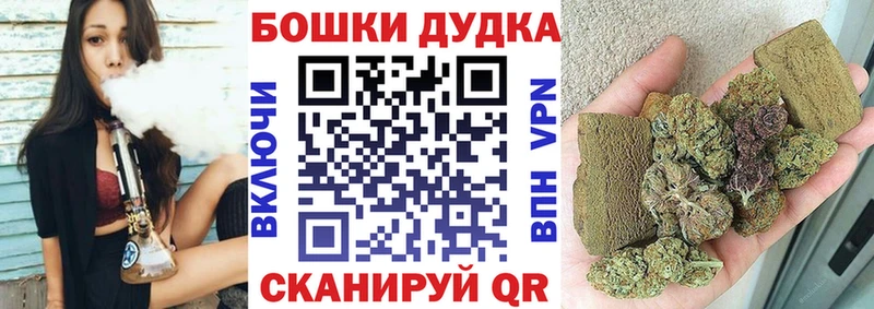 Бошки Шишки ГИДРОПОН  Купить где  Ахтырский 